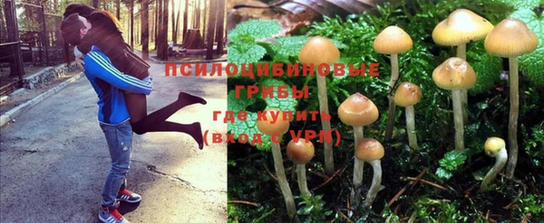 экстази Алексеевка