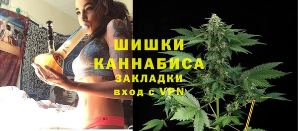 шишки Медногорск