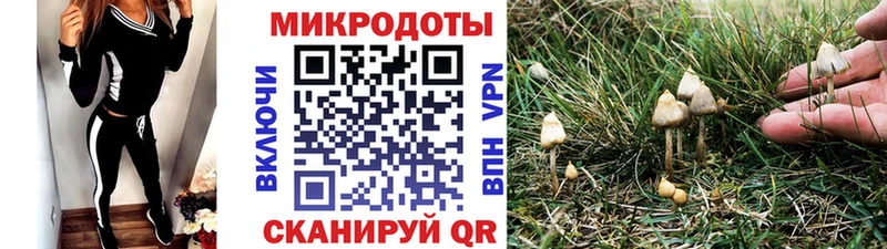 Галлюциногенные грибы Magic Shrooms  Динская 